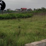 خرید زمین ۶۰۰ متری باغی در چلاسر تنکابن