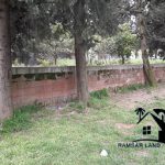 خرید زمین مسکونی در بلوار باهنر رامسر