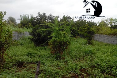 خرید ۲۳۷ متر زمین با جواز ساخت در همت آباد تنکابن
