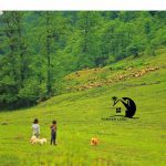خرید ویلای دوبلکس با دید جنگل و دریا در لیماک