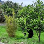 خرید ۵۰۰ متر زمین در ییلاق رامسر لیماک