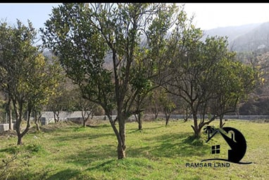 خرید ۹۰۰ متر زمین در رامسر مازندران