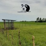 خرید زمین ارزان در تنکابن لشگرک