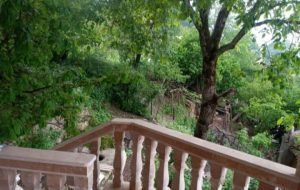photo12736416919