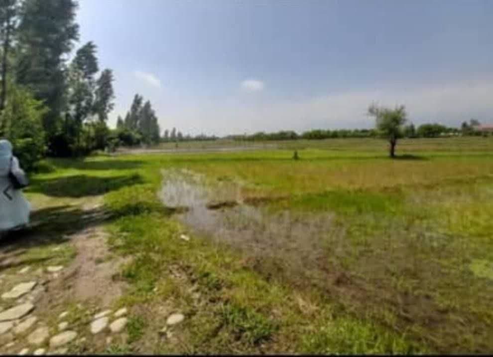 photo 2024 09 08 13 39 17