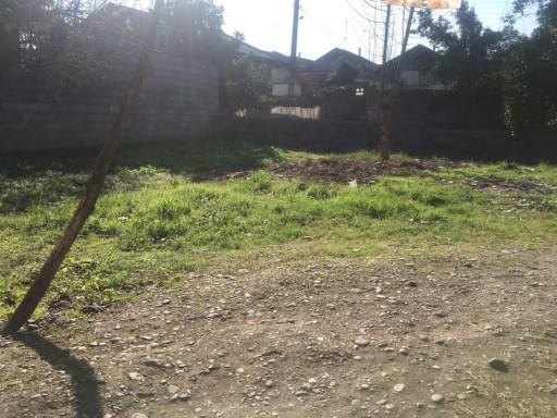 photo 2024 11 01 18 00 25