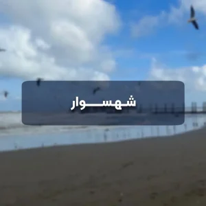 شهسوار