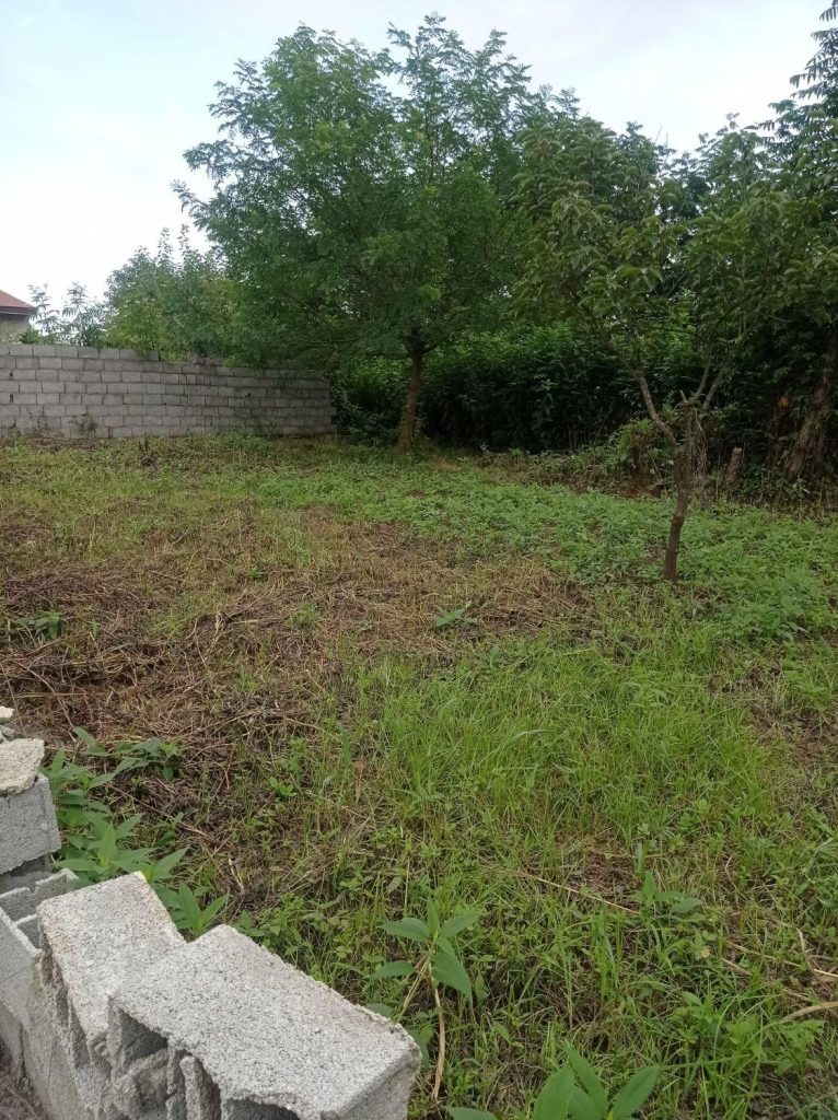 262771.1