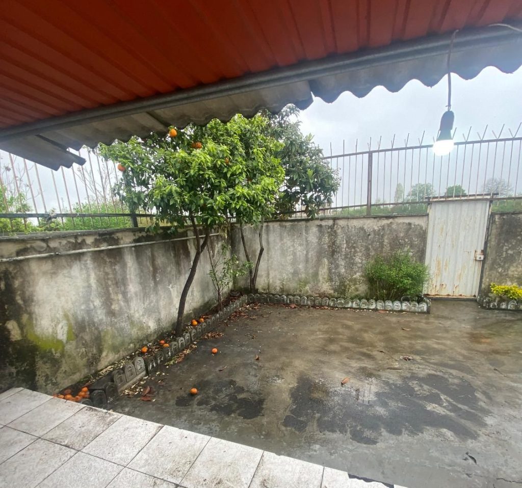 262861.3 e1744487328744