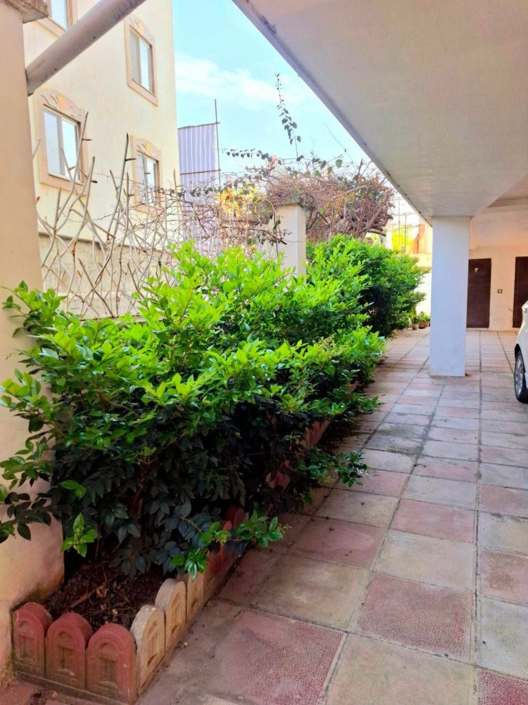 خصوصیات 1 264313.5