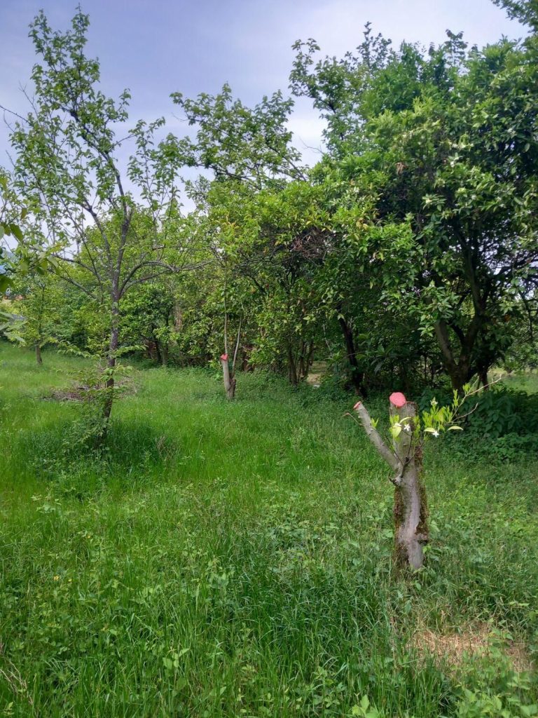 خصوصیات 3 264370.1