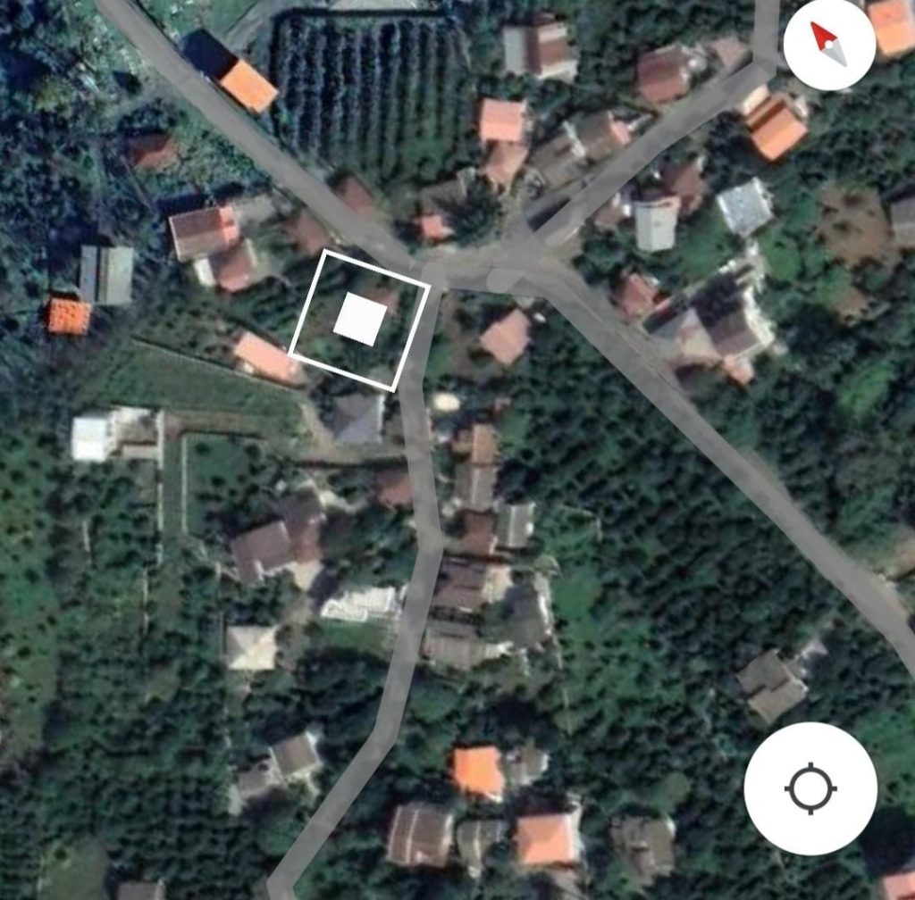 264636.2
